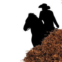Les tabacs 10ml